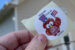 Vote in Mahaska County (photo by Oskaloosa News)