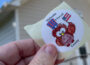 Vote in Mahaska County (photo by Oskaloosa News)