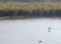 A study from USGS shows nutrient pollution in U.S. rivers can spend a season or longer on the landscape before it reaches a stream. Pictured is the Mississippi River along Dubuque. (Photo by Perry Beeman/Iowa Capital Dispatch)