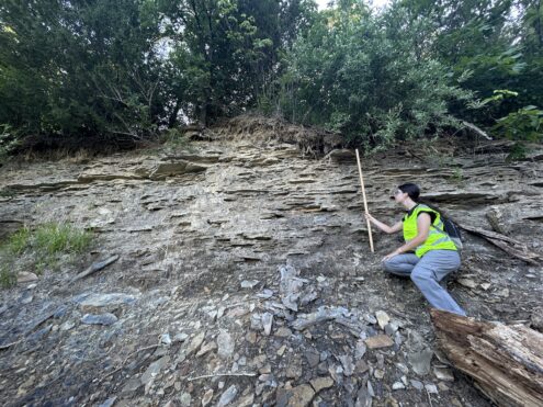 Baylor University doctoral student April Cerami examines fossil-bearing rock at Russell Wildlife Area in Mahaska County. Cerami is studying unusual growth defects in marine animals that lived in Iowa more than 300 million years ago. submitted photo