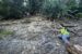 Baylor University doctoral student April Cerami examines fossil-bearing rock at Russell Wildlife Area in Mahaska County. Cerami is studying unusual growth defects in marine animals that lived in Iowa more than 300 million years ago. submitted photo