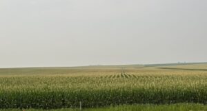  Cropland in eastern Iowa has a haze along the horizon July 19, 2026 due to smoke from wildfires in Canada. (Photo by Cami Koons/Iowa Capital Dispatch) 