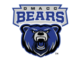 DMACC Bears