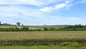  Corn grows along west-bound U.S. 80 in Iowa Aug. 31, 2026. (Photo by Cami Koons/Iowa Capital Dispatch) 